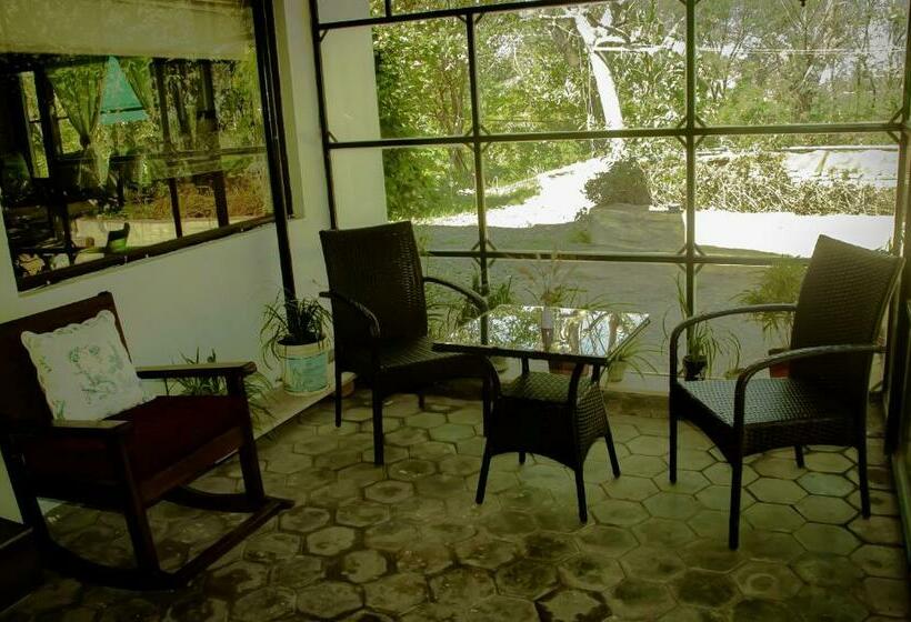 带大床的标准间, Tranquility Homestay