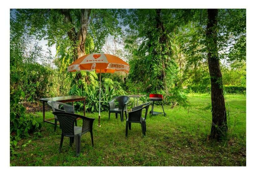 חדר סטנדרט עם מיטת קינג, Tranquility Homestay