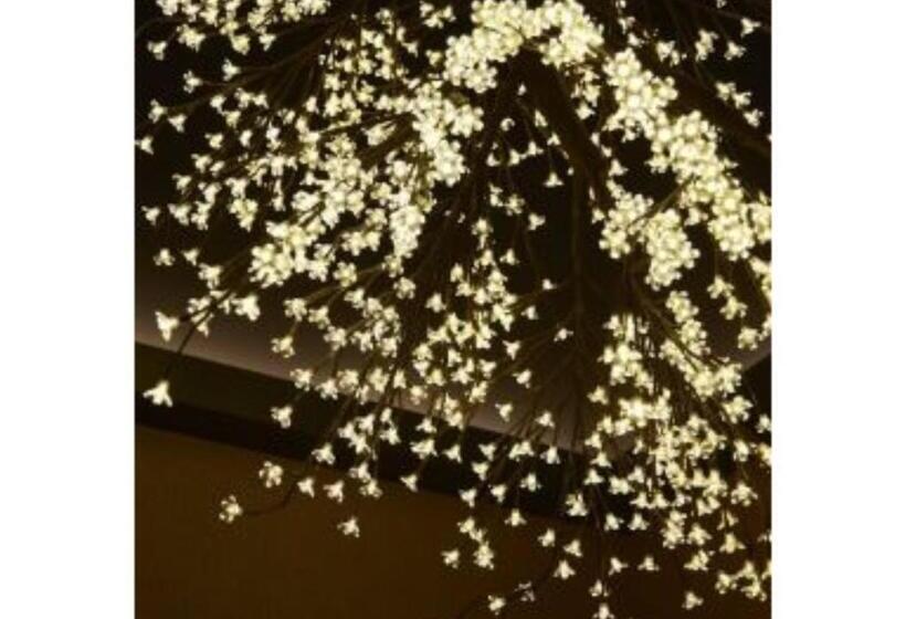 חדר סטודיו סטנדרד, Sakura Sky Hotel   Vacation Stay 18445v