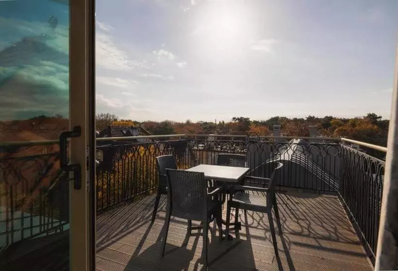 آپارتمان سوپریور 1 خوابه, H Villa Herkules