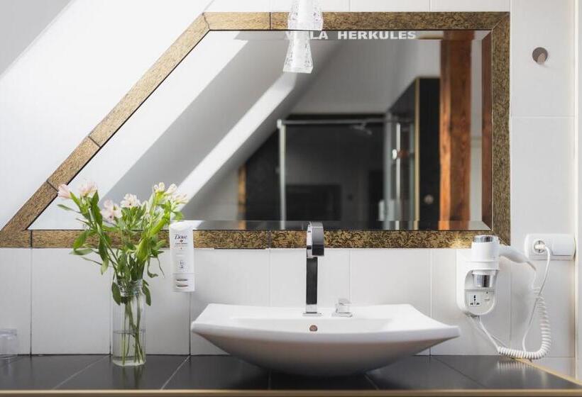 Апартаменты Superior 1 Спальня, H Villa Herkules