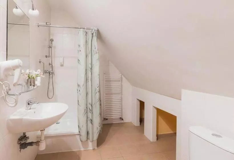 اتاق استاندارد یک نفره, H Villa Herkules