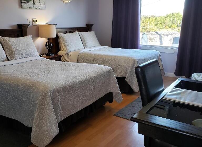 带2个双人床的标准工作室, Antigonish Evergreen Inn