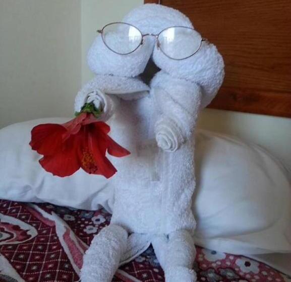 اتاق استاندارد با چشم‌انداز رودخانه, El Mesala