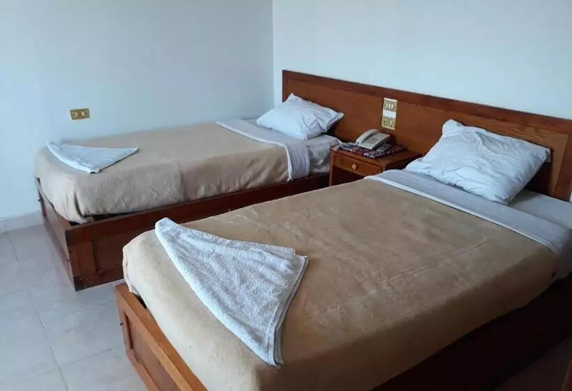 اتاق استاندارد یک نفره, El Mesala