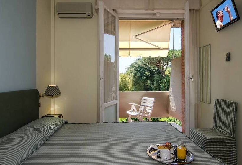 スタンダードシングルルーム, Hermitage