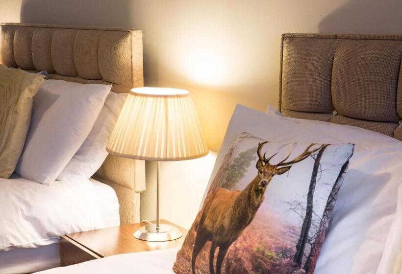 غرفة قياسية رباعية مطلة على البحر, Lamlash Bay