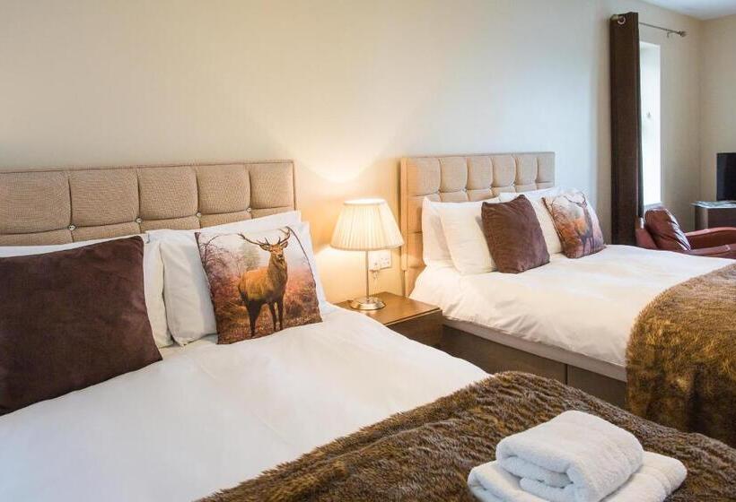 غرفة قياسية رباعية مطلة على البحر, Lamlash Bay