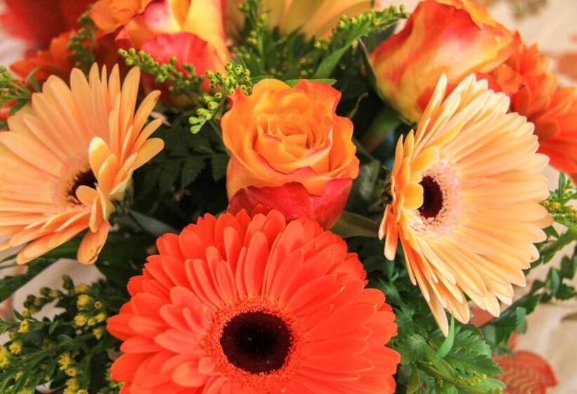 غرفة قياسية, Les Saisons