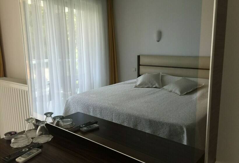 スタンダードルーム, Pidasus