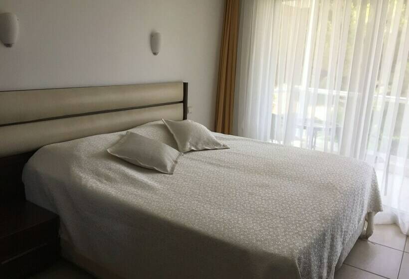 スタンダードルーム, Pidasus