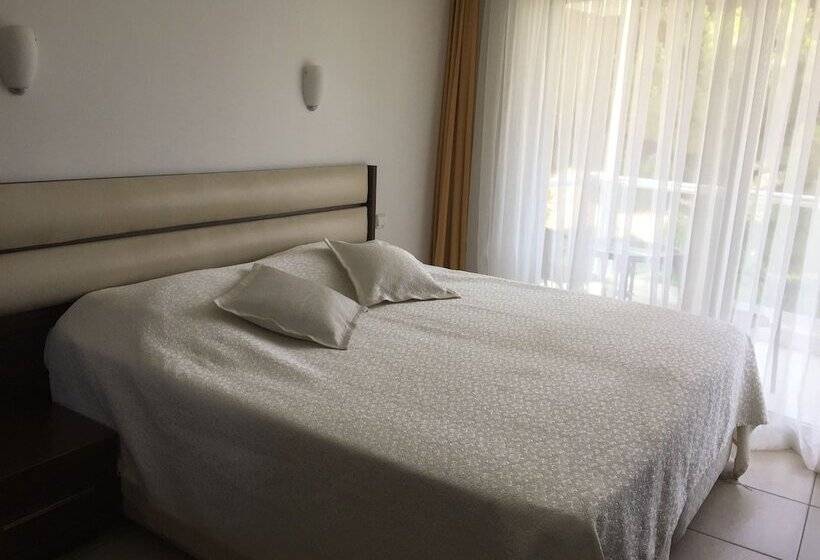 スタンダードルーム, Pidasus