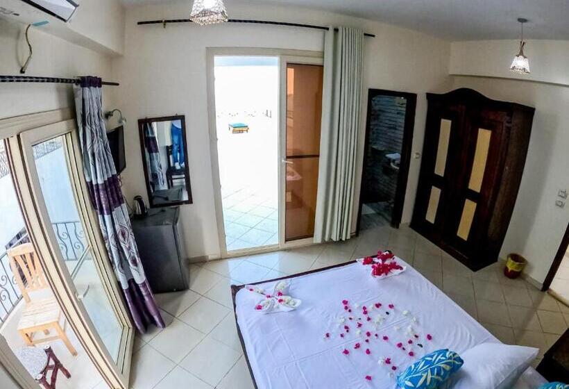 اتاق استاندارد با چشم‌انداز دریا, Dahab Bay