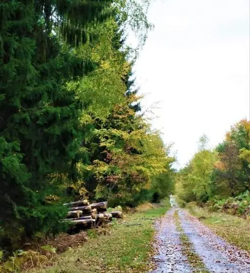 Talo 2 Makuuhuonetta, Le Clos Du Cerf   Le Sous Bois