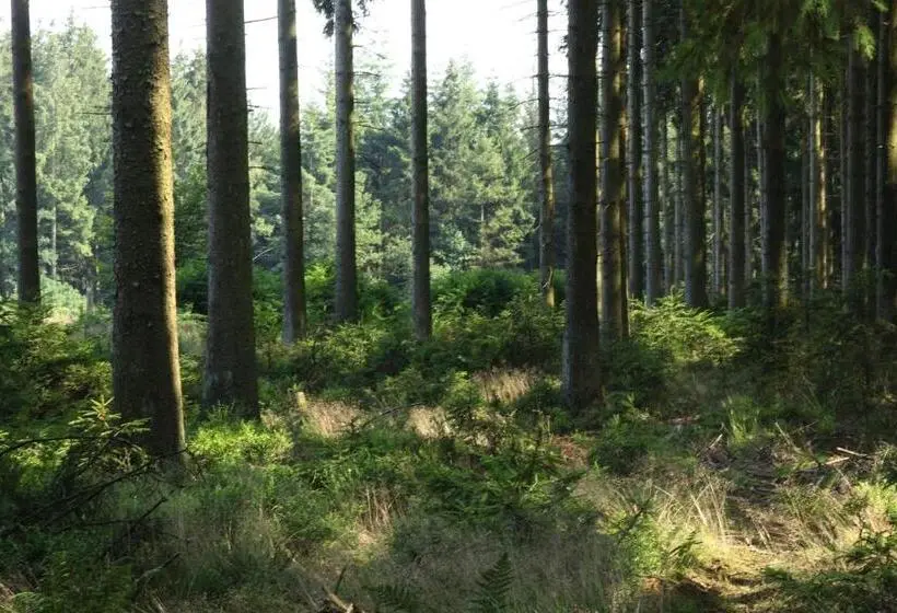 Talo 2 Makuuhuonetta, Le Clos Du Cerf   Le Sous Bois