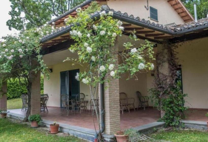 스탠다드 룸, Agriturismo Tognoloni