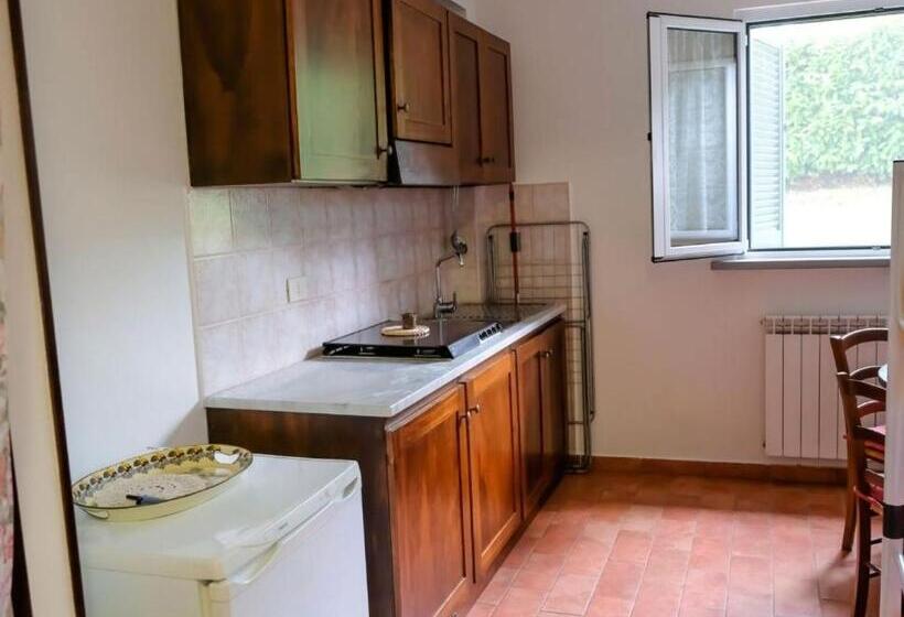 스탠다드 룸, Agriturismo Tognoloni