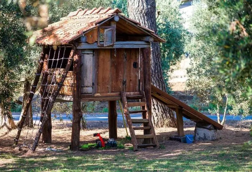 デラックスルーム, Agriturismo Fontetrilla