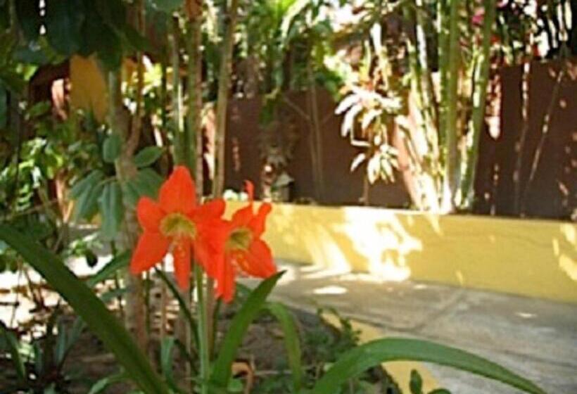 스탠다드 룸 더블 침대 2개, Posada Paloma