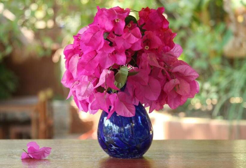 스탠다드 룸 더블 침대 2개, Posada Paloma