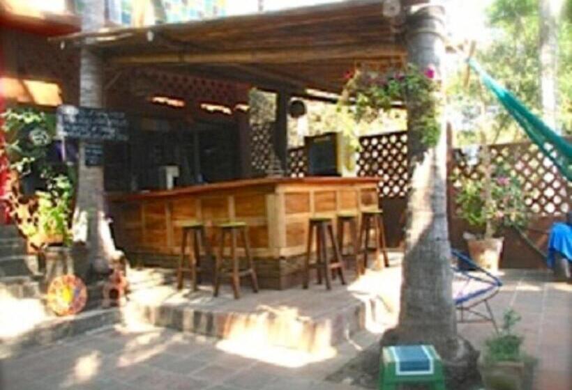 기본룸, Posada Paloma