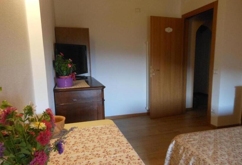 이코노미 룸, B&b Paradiso