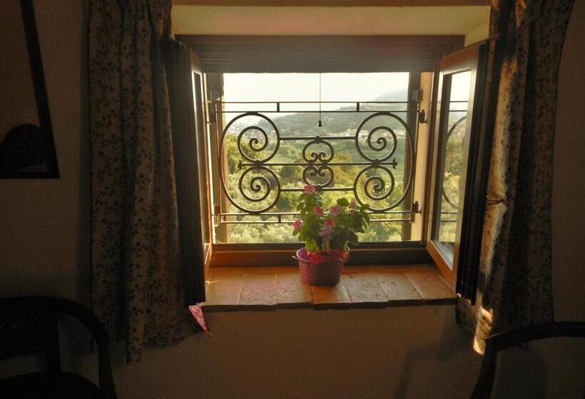 غرفة إقتصادية, B&b Paradiso