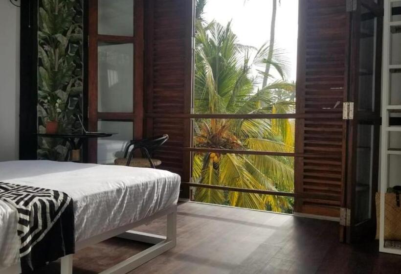 Номер Basic, Colive Ahangama