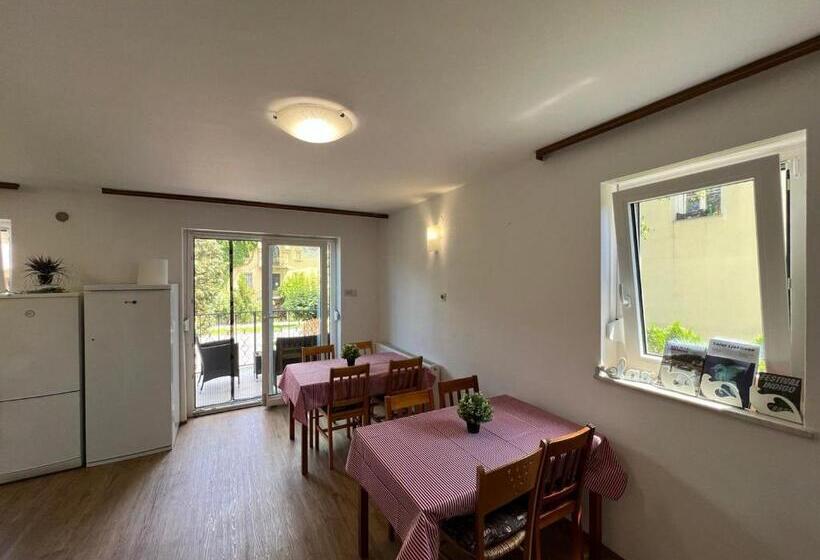 اتاق استاندارد با سرویس بهداشتی مشترک, Emona Guesthouse Ljubljana