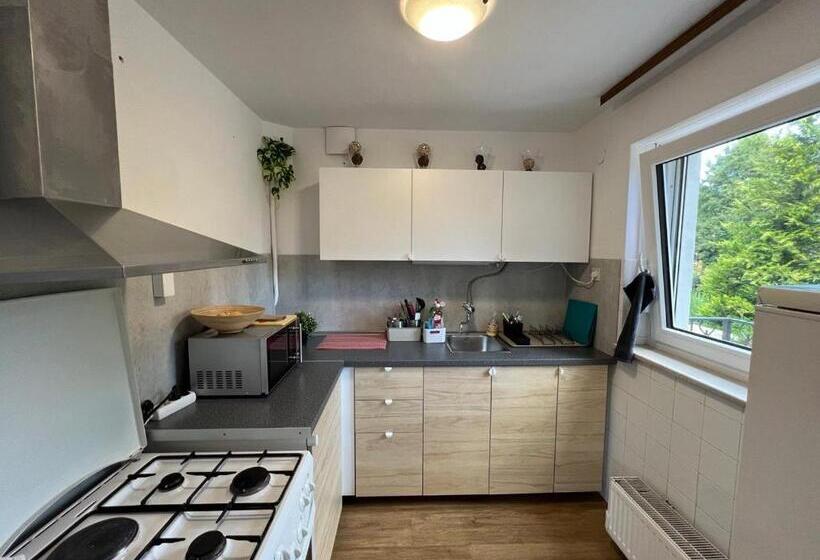 اتاق استاندارد سه تخته با سرویس بهداشتی مشترک, Emona Guesthouse Ljubljana