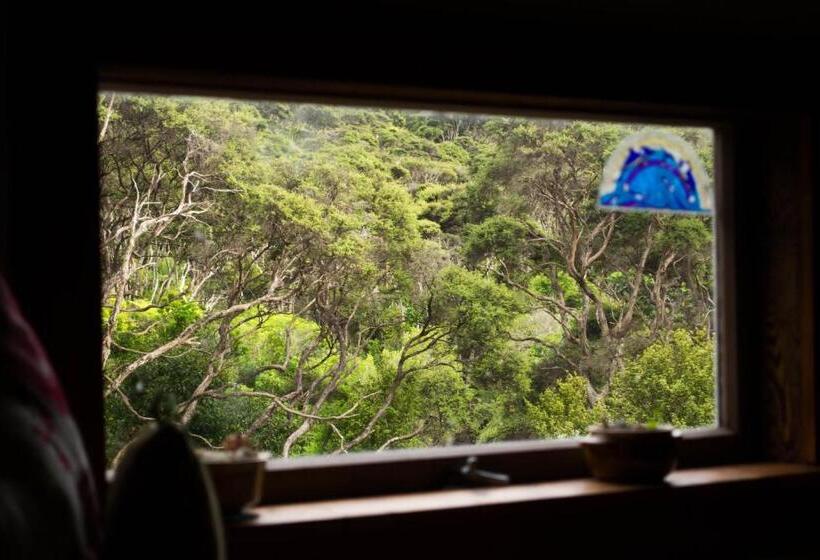 디럭스 룸, Waiheke Island Guesthouse