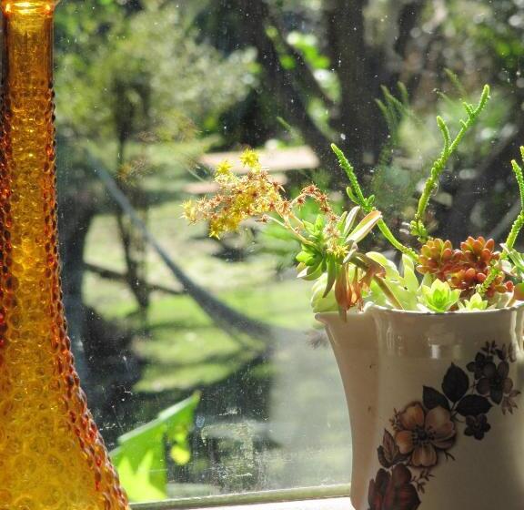 Номер Deluxe Кровать Куин, Waiheke Island Guesthouse