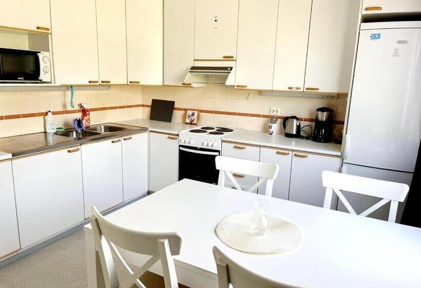 Апартаменты 1 Спальня с Балконом, Center Hostel Kaatrahovi