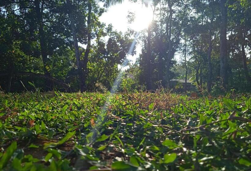 スタンダードルーム, Green Garden Hiriketiya