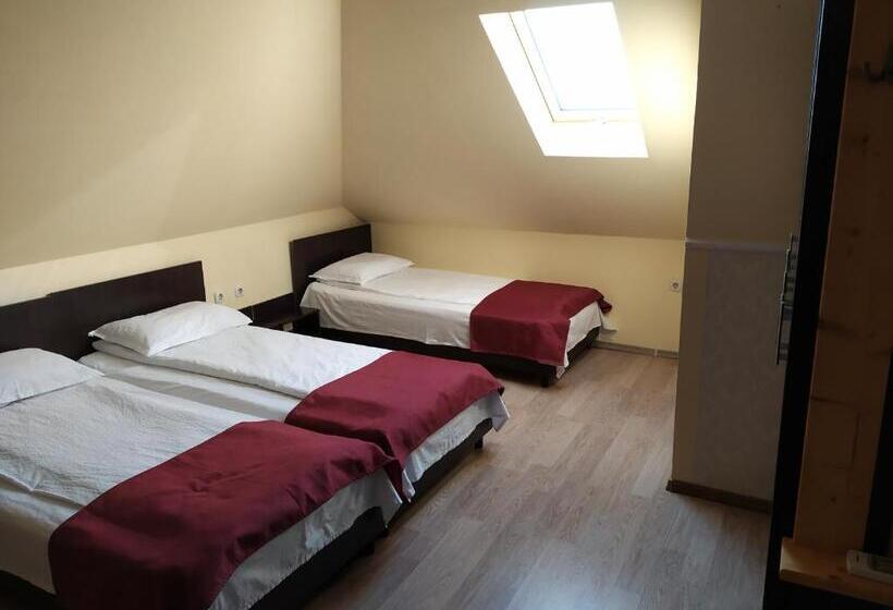 스탠다드 트리플 룸, Pensiunea Bulevard