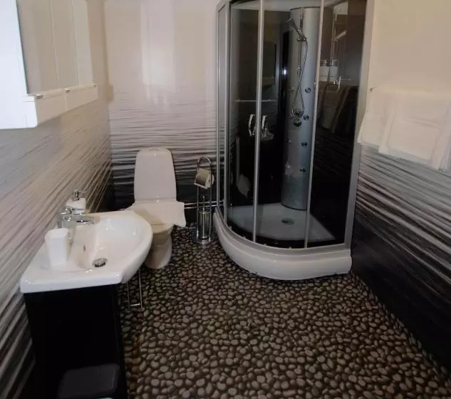 Deluxe-huoneisto 2 Makuuhuonetta, Avesta Stadshotell
