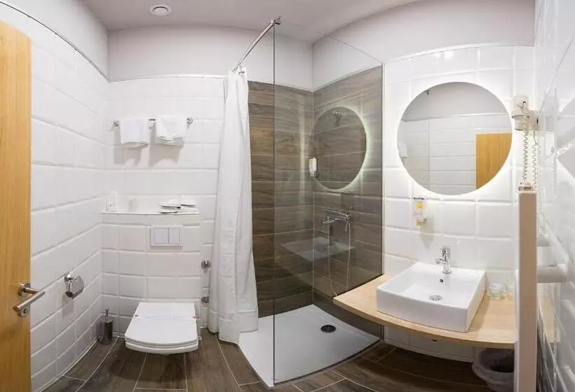 اتاق استاندارد با تخت بزرگ, Boutique Hotel St Georgije