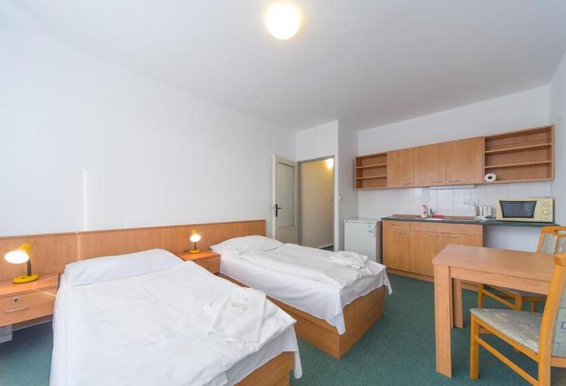 اتاق استاندارد چهار تخته, Arnost Garni