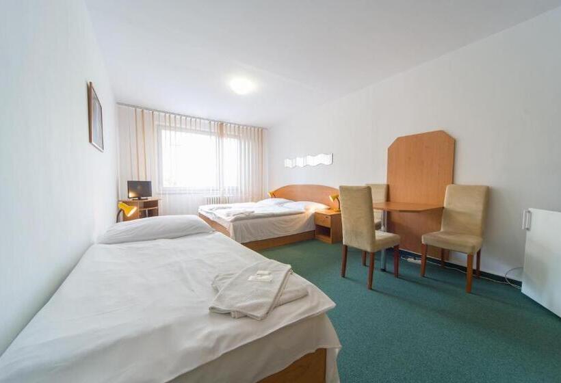 اتاق استاندارد سه نفره, Arnost Garni