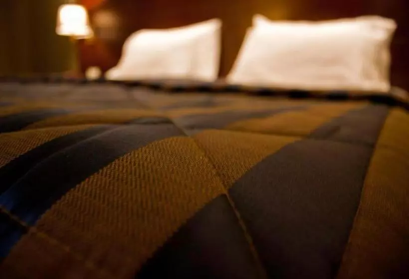 سوییت جونیور با چشمانداز شهر, Bel Azur Hotel Resort
