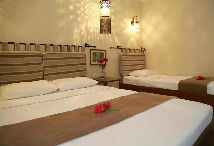 اتاق استاندارد سه نفره, Dardanos