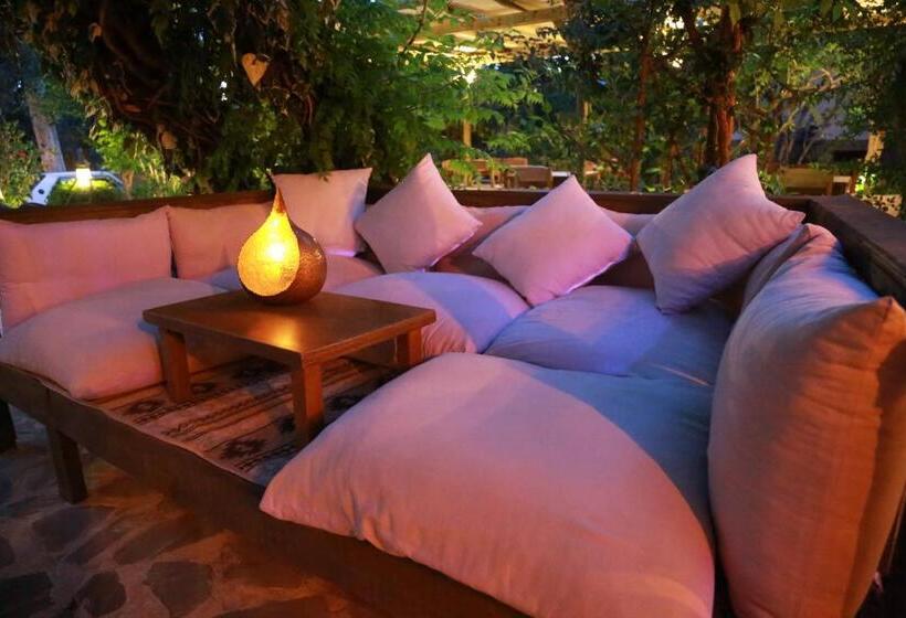 اتاق استاندارد سه نفره, Dardanos