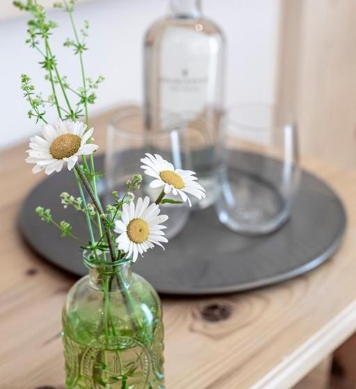 高级套房, Drumlerhof