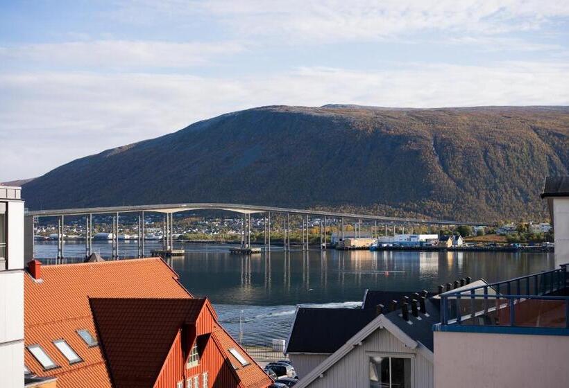 이코노미 룸, Enter Amalie