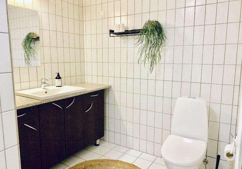 标准单人间, Gammel Havn