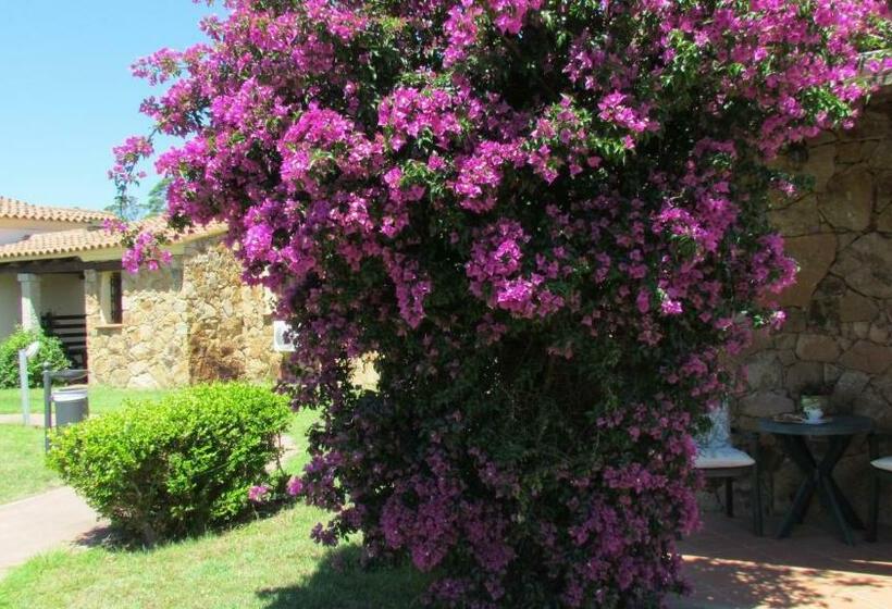 اتاق استاندارد, Li Suari Club Village