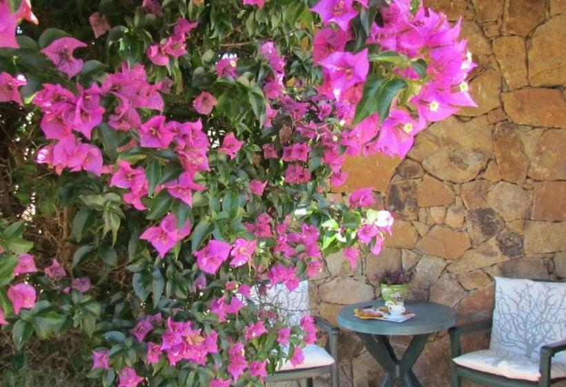 اتاق استاندارد, Li Suari Club Village