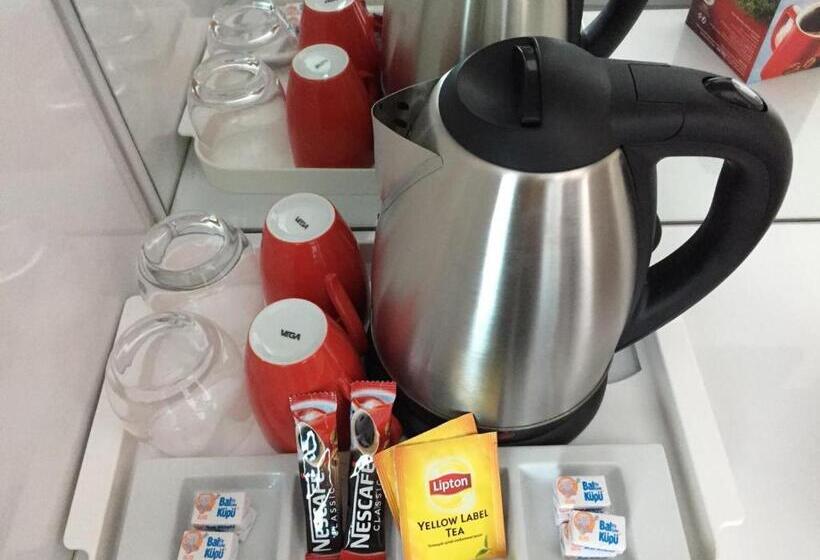 スタンダードトリプルルーム, Minel