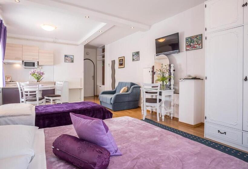 סטודיו סטנדרטי נוף לגינה, Pansion Amigos