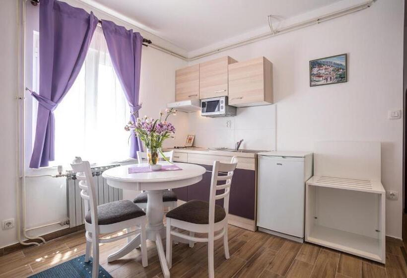 סטודיו סטנדרטי נוף לגינה, Pansion Amigos